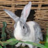 small-bog-img-2